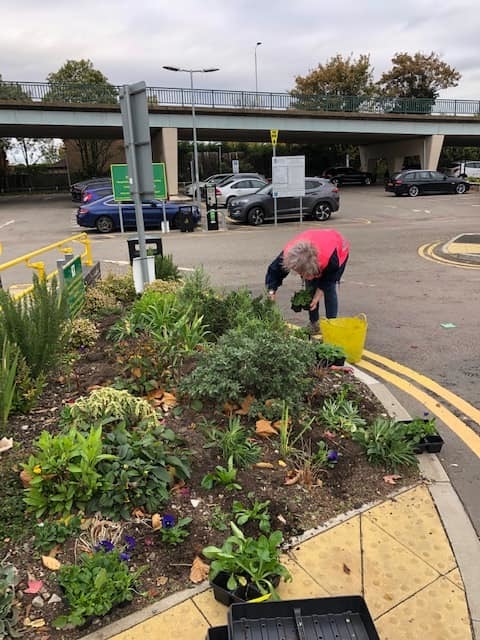 An image of a woman planting at Beeston Station