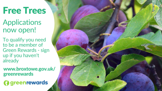 Free tree applications now open