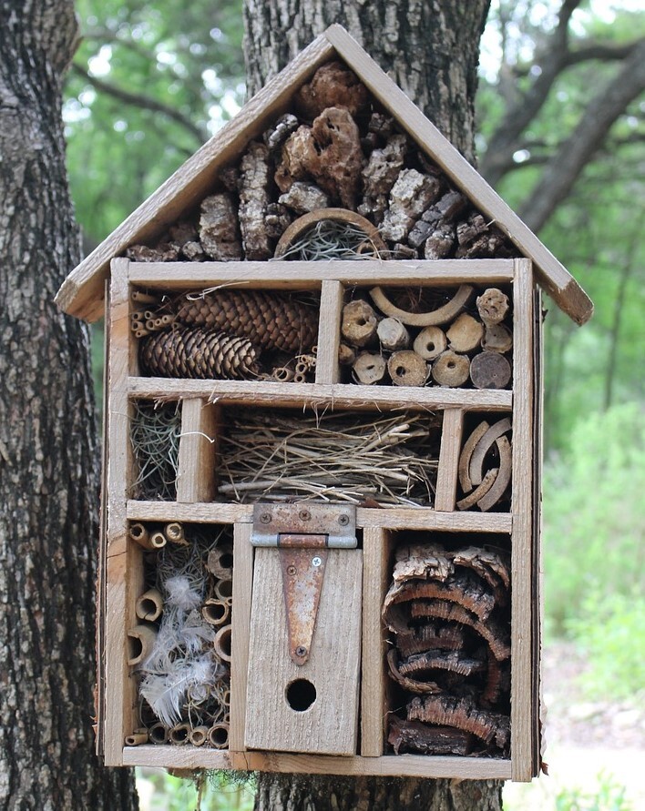 Bug hotel inside house-shaped frame