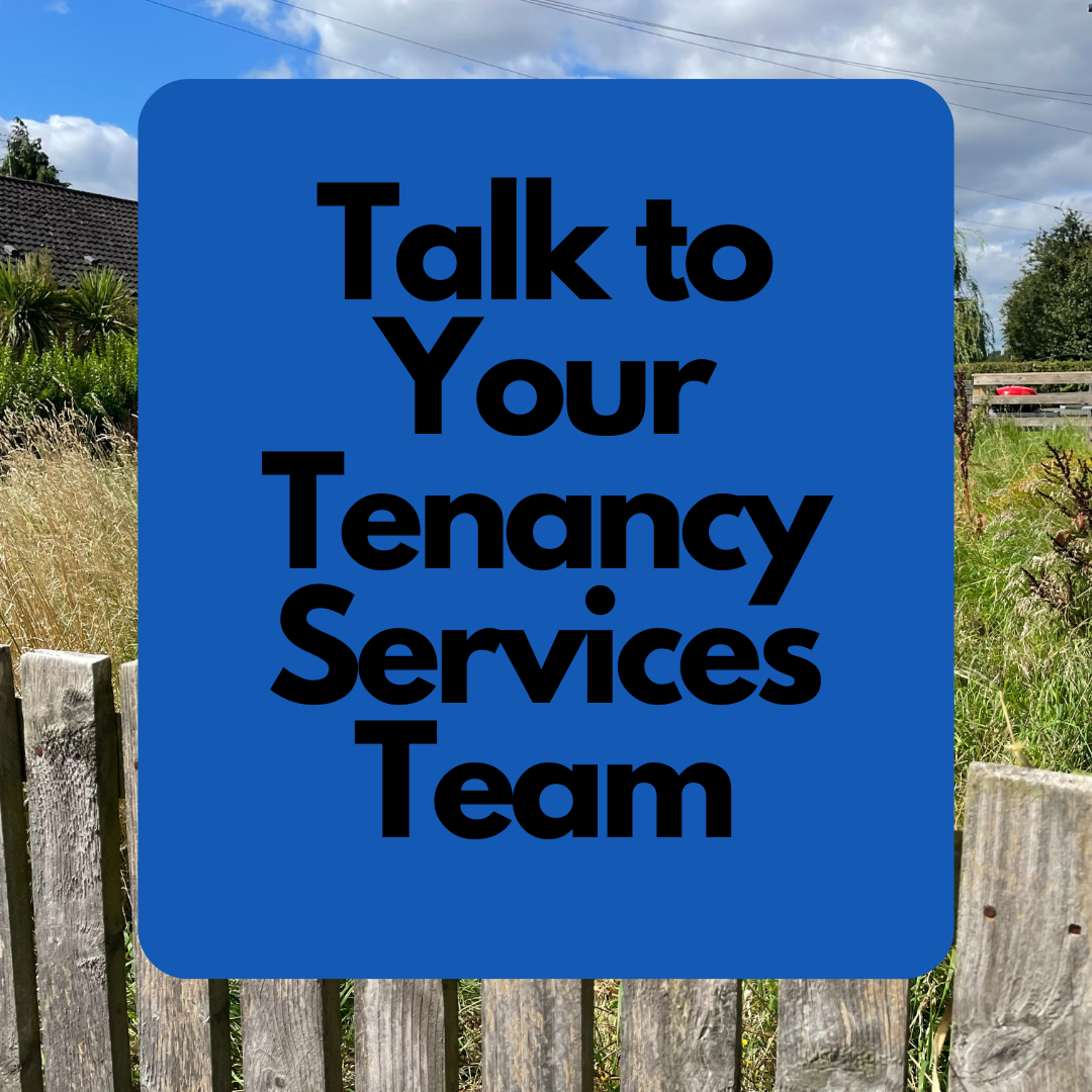 Talk to you tenancy services team