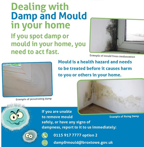 dealing with damp and mould in your home