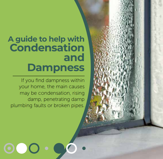 condensation and damp wording. Wet window with block green