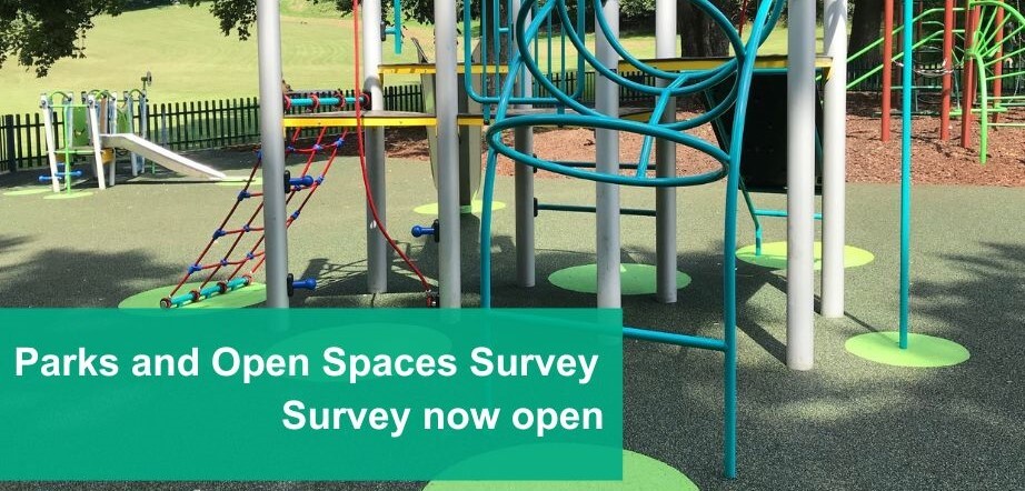 Parks and Open Spaces Survey