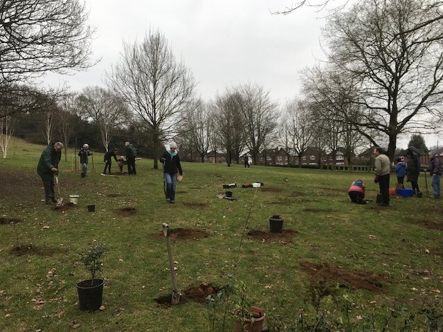 Volunteers with Canopy 2050 planting trees at Crow Hill in Bramcote Hills Park