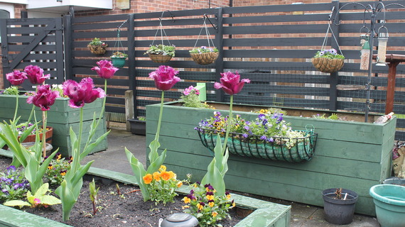 Communal Planters