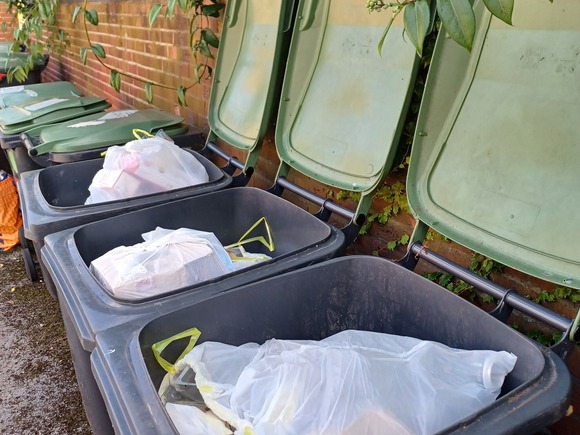 Contaminated bagged waste in recycling bins