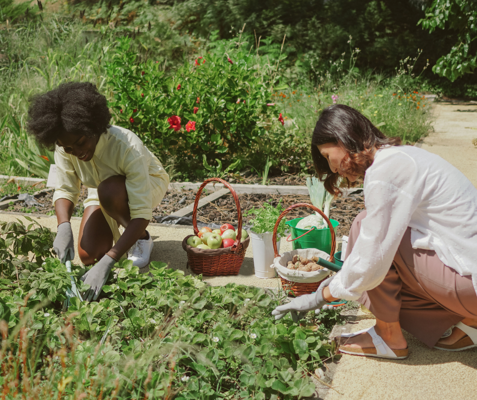 Two people gardening together
