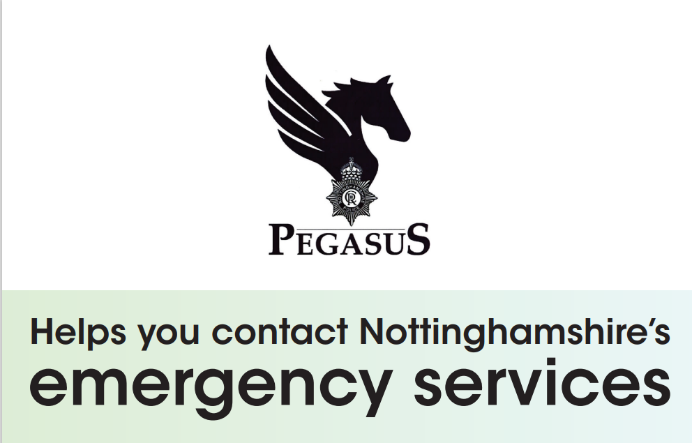 Flying horse sillhouette