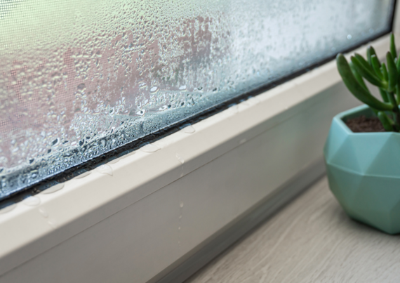 Condensation dripping down window