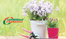 Gardening competition