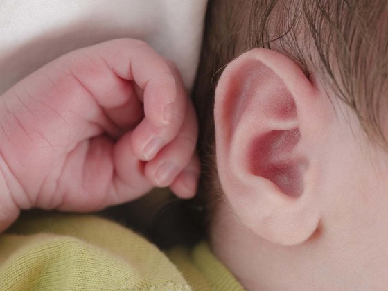 Baby ear