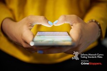 Report illegal puppies