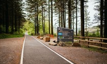 Cwmcarn Forest 