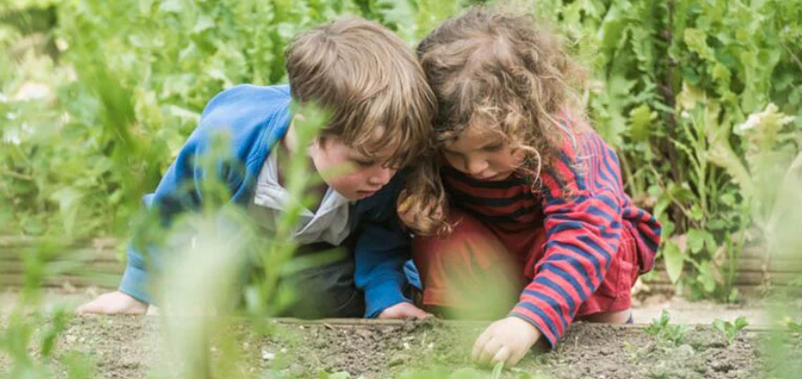 Outdoor learning