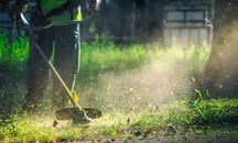 Grass cutting