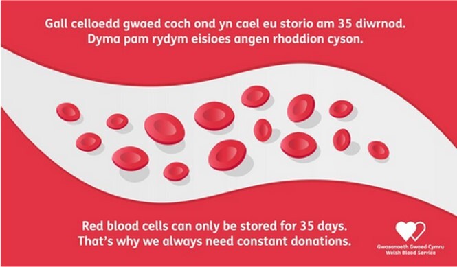 Welsh Blood 35 days