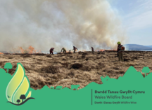 Wales Wildfire Board