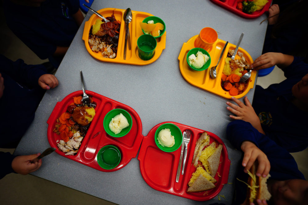 School meals consultation
