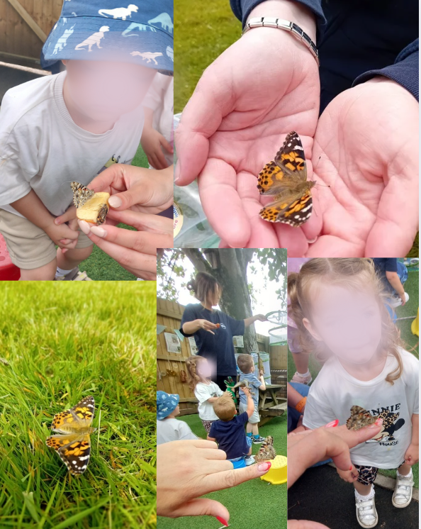 Butterfly release
