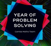 year of problem solving
