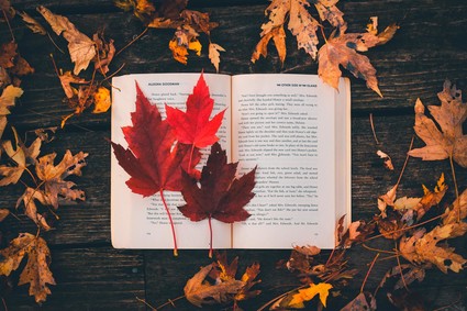 Autumnal leaves with an open book.