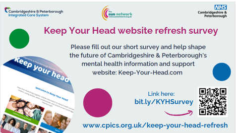 keep your head website survey