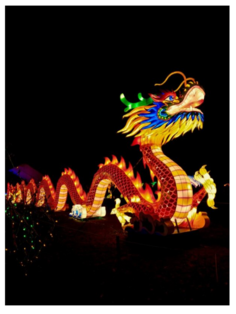 A dragon made of lights