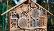 Image of a bug hotel