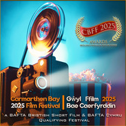 Carmarthen Bay Film Festival