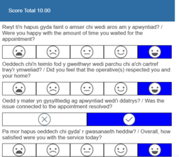 smiley face survey