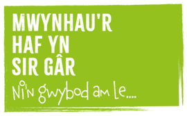 Mwynhau'r haf yn Sir Gar