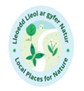 Local Places
