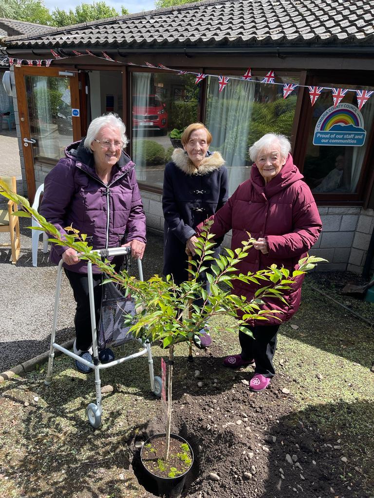 Jubilee tree