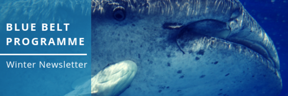 Blue Belt Programme banner