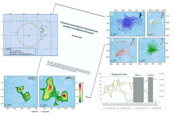 Planning underway for a marine protected area on Ascension Island.