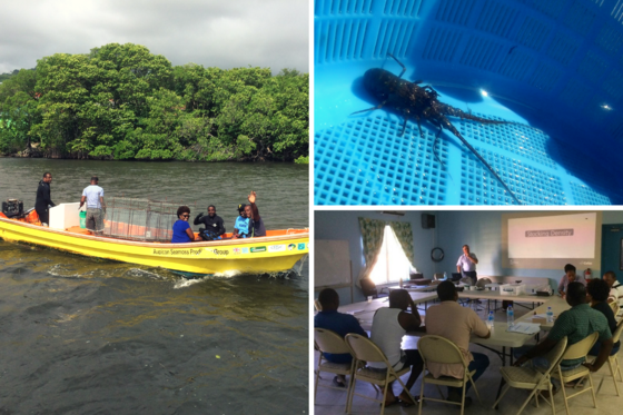 Images from the CME Programme in St Lucia