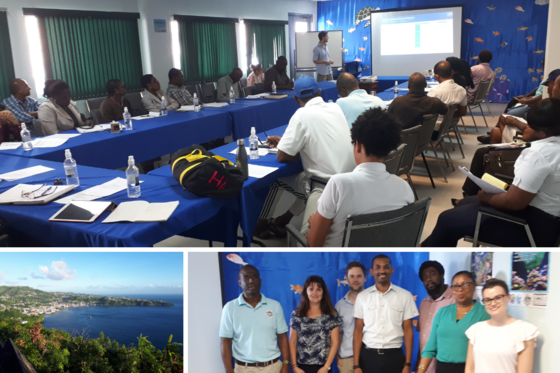 Images from the CME Programme in St Vincent and the Grenadines