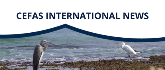 Cefas International News banner