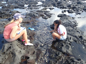 Ascension Island youth committee fieldwork