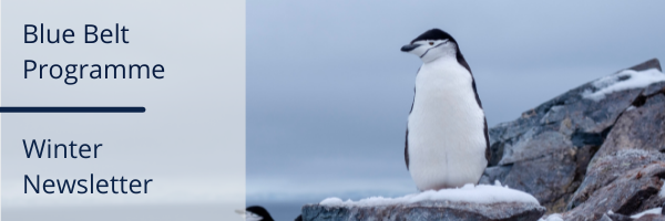 penguin cover banner