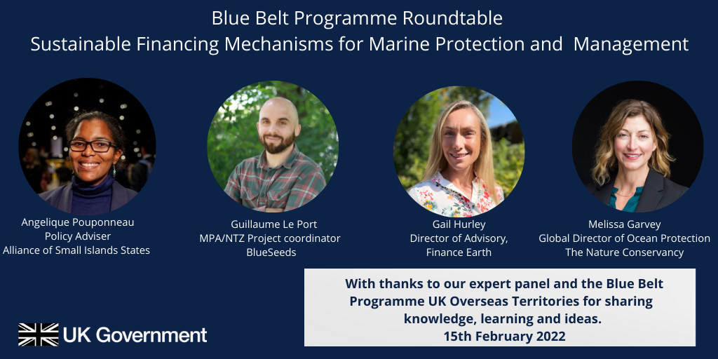 sustainable finance roundtable