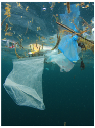 plastic in the sea