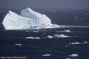 Iceberg floating on the ocean
