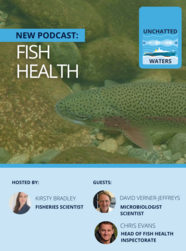 Fish health podcast