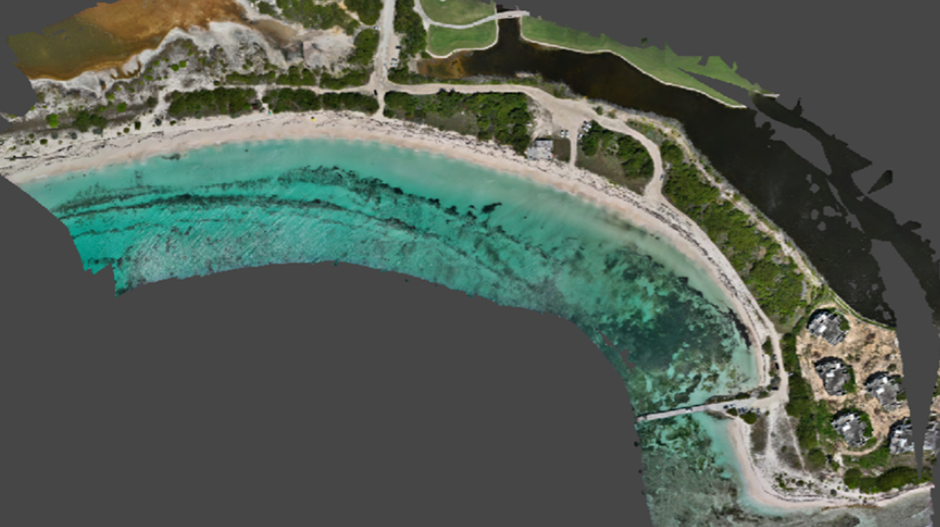 Drone derived Orthophoto of Cove Bay