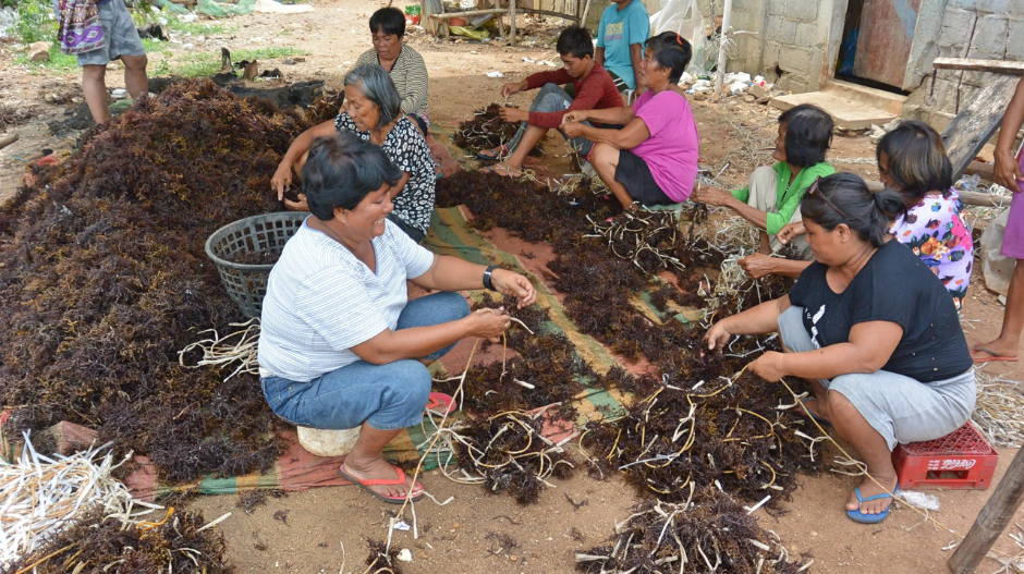 Women in fisheries