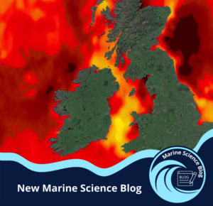 Marine Science Blog poster, marine heatwaves