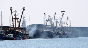 Fishing Boats, Crown copyright