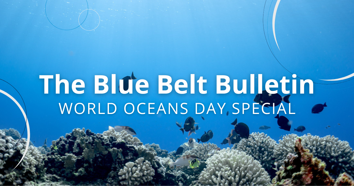 The words 'Blue Belt Bulletin, World Oceans Day Special' overlaid on a background of a coral reef with fish.