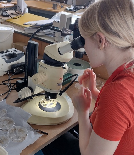 Rose looking down microscope